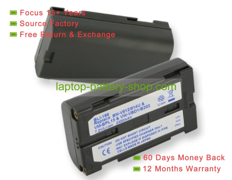 Panasonic VW-VBD1, CGR-B202A 7.2V 2000mAh replacement batteries - Click Image to Close